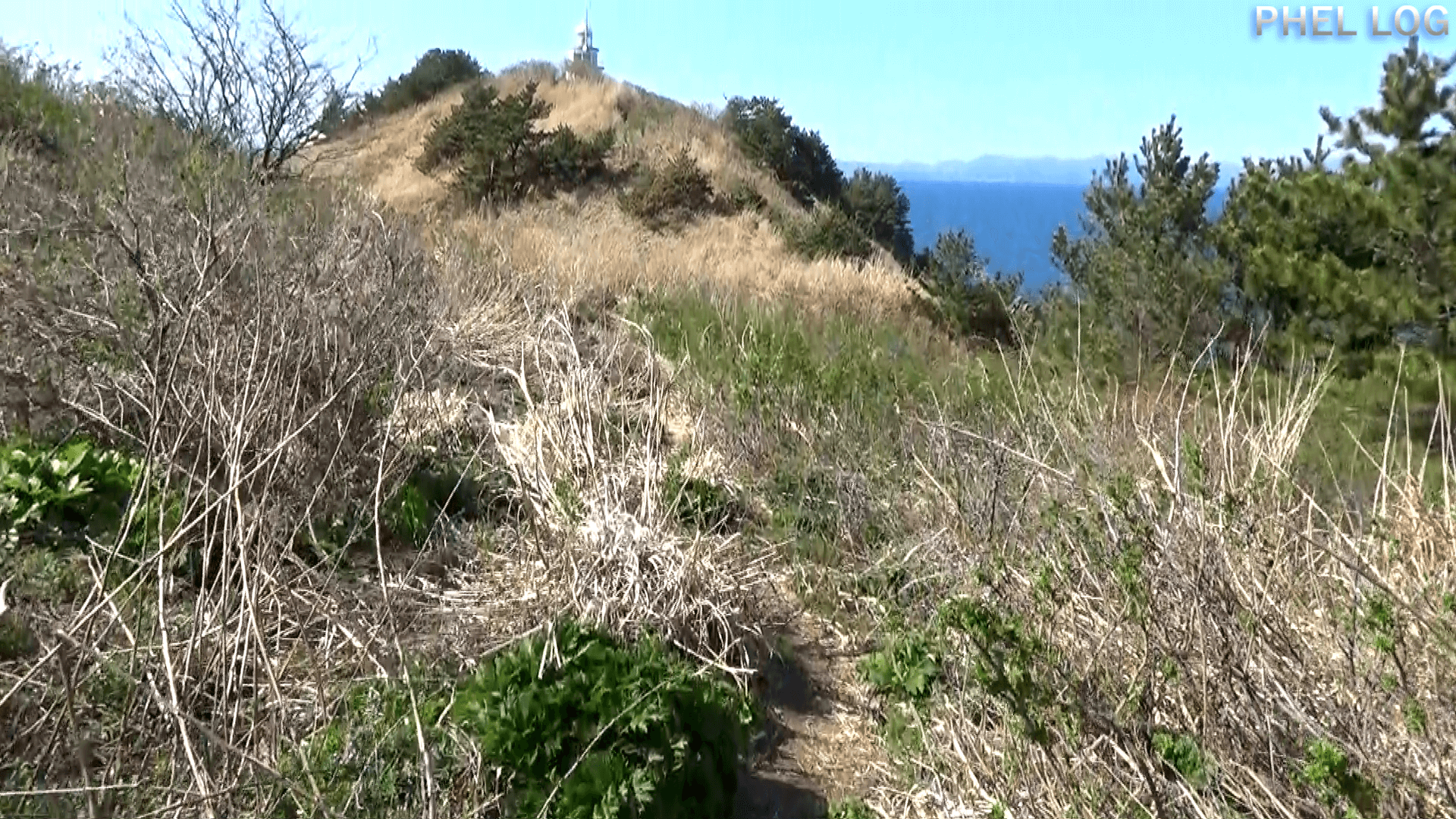陸奥大島灯台南側の藪ゾーンを抜けたところ